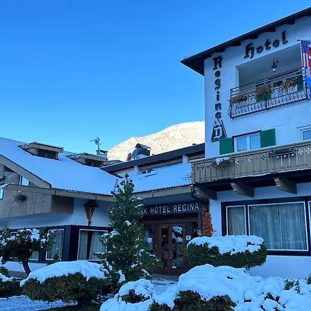 Regina Delle Dolomiti Hotel
