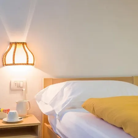 Hotel Regina Delle Dolomiti 3*