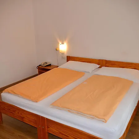 Hotel Regina Delle Dolomiti Panchià
