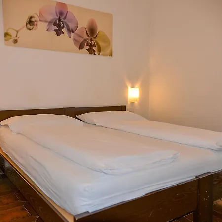 Hotel Regina Delle Dolomiti 3*